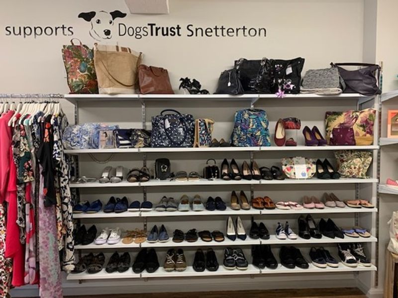 Dogs trust shops best sale